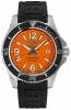 Recently viewed watch 2